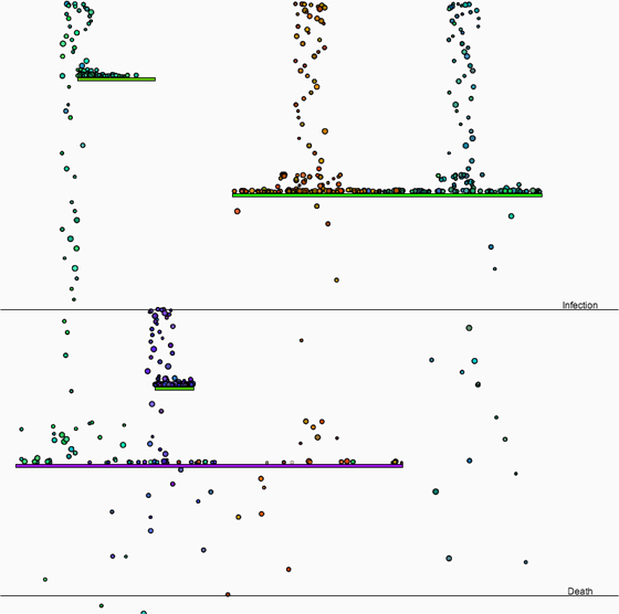 Image of flow visualization